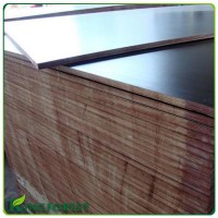 china film faced plywood from linyi with great price